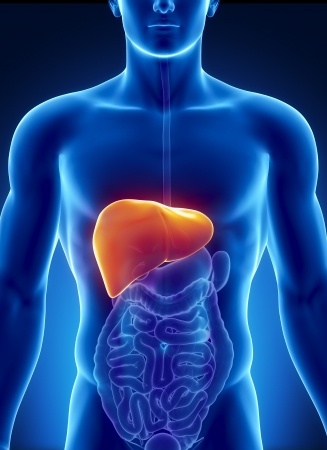 reduce cholesterol naturally
